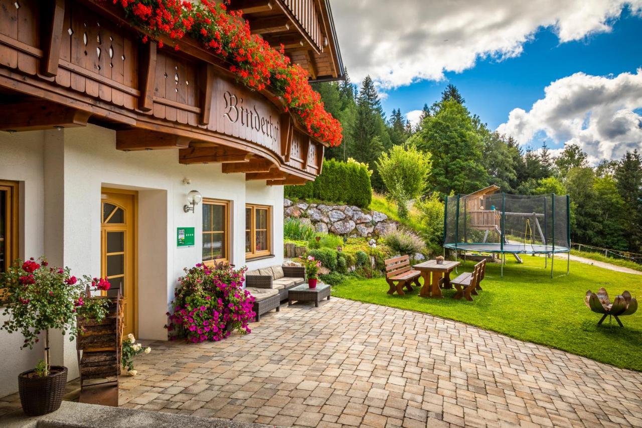 Апартаменты Binderhof Weisspriach Экстерьер фото