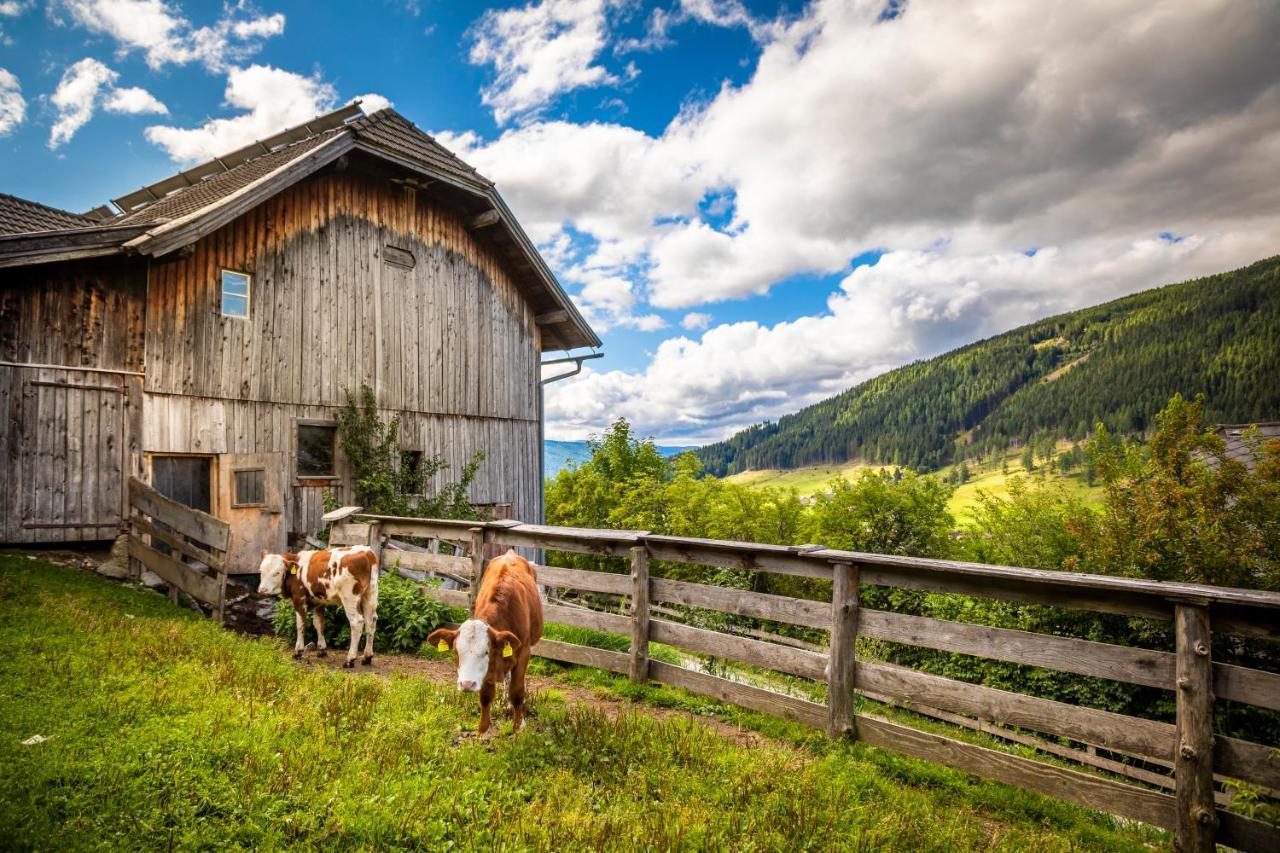 Апартаменты Binderhof Weisspriach Экстерьер фото